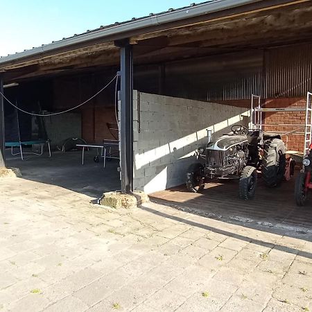 Natuur-Like Glamping In Bosland NeerNeerpelt Eksteriør billede
