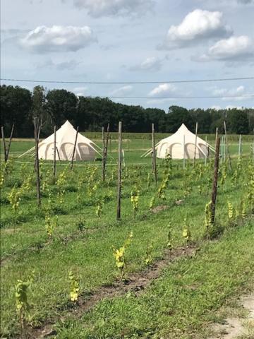 Natuur-Like Glamping In Bosland NeerNeerpelt Eksteriør billede
