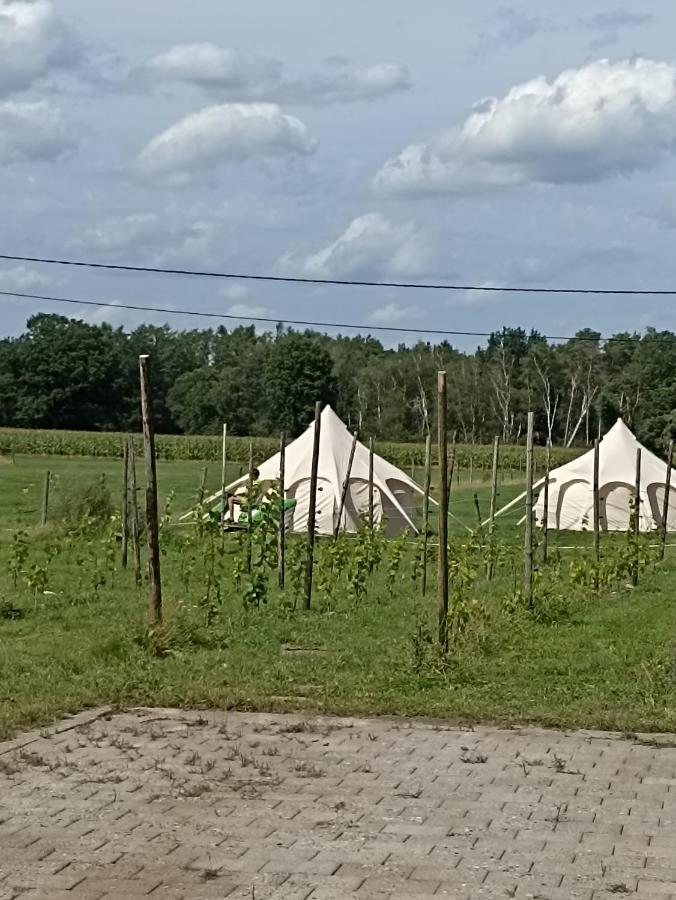 Natuur-Like Glamping In Bosland NeerNeerpelt Eksteriør billede