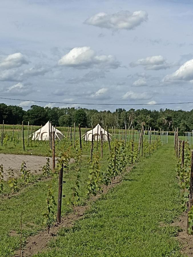 Natuur-Like Glamping In Bosland NeerNeerpelt Eksteriør billede