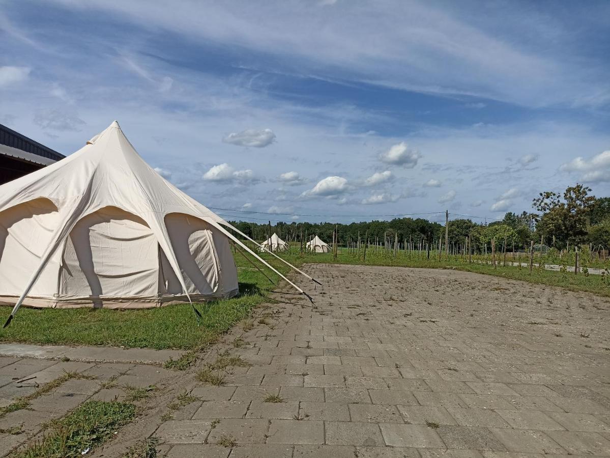 Natuur-Like Glamping In Bosland NeerNeerpelt Eksteriør billede