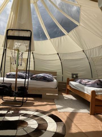Natuur-Like Glamping In Bosland NeerNeerpelt Eksteriør billede